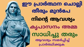 ആവശ്യം സമർപ്പിച്ചു പ്രാർത്ഥിക്കുക 🙏 #kripasanam  #kreupasanam #കൃപാസനം