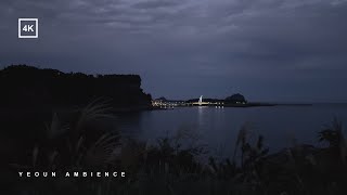 4K Video | 제주 폭풍의 언덕, 이름만큼 풍경도 너무 멋진 곳 | Wuthering Heights in Jeju