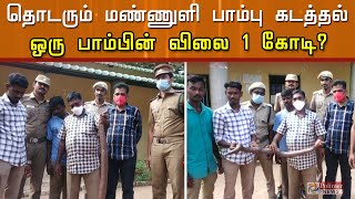 ஒரு பாம்பின் விலை 1 கோடி.... 2.6 கிலோ எடை கொண்ட மண்ணுளி பாம்பு கடத்தல்!