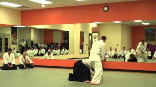 Aikido Technique: SHINSA - A 4th Rank Test (Yon-kyu)