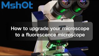 How to upgrade your microscope to a fluorescence microscope｜Upright Fluorescence module