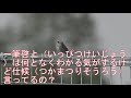 22.春の馬見丘陵公園へお出かけ！四季花と野鳥の楽園