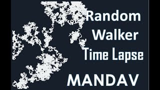 Time Lapse Random Walker
