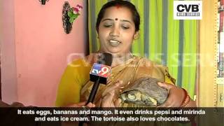 MEAT EATING, PEPSI DRINKING TURTLE TURNS INTO A PET