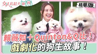 賴薇如＋Quinton\u0026Q比！遭前主人棄養戲劇化的狗生故事！女人我最大 20230821