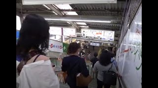 2019 藤沢駅 改札を出てから見回る Fujisawa Station 190628