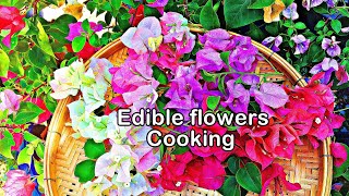 Picking flowers for cooking - Bougainville flower