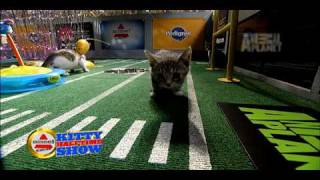 Puppy Bowl VI- Kitty Halftime Show