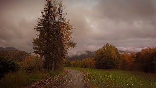 under the autumn sky.