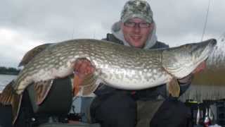 pike 95cm/9kg on the way back to home