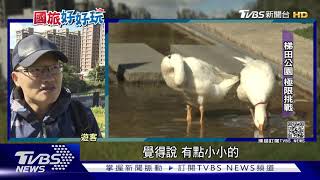 從早玩到晚!桃林鐵路搖身一變 成鐵馬道｜TVBS新聞