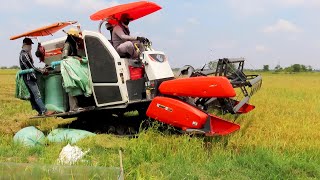 Best Activities Kubota Harvester Working Skills Safety Operator Cropping Rice At Farms