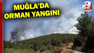 Muğla'nın 2 İlçesinde Orman Yangını Çıktı l A Haber