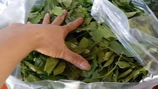 GIA VỊ QUAY VỊT - LÁ MÓC MẬT KHÔ - DẬY NGHỀ QUAY VỊT