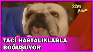 Taci Hastalıklarla Boğuşuyor! - Sihirli Annem Özel Klip