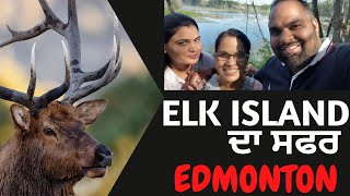 Edmonton ਦੇ Elk Island ਦਾ ਸਫਰ  \\ life in Canada 2022 / Canada Vlog  Punjabi / Jassrose Sandhu