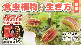 食虫植物の生き方とは？ 研究者に聞いてみた！（前編）