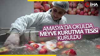 Amasya'da Meslek Lisesinde Meyve Kurutma Tesisi Kuruldu