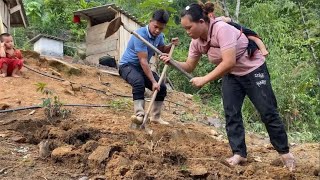 森林里采摘野果，卖给别人立马赚了200块，回家给鸡修建喂食台