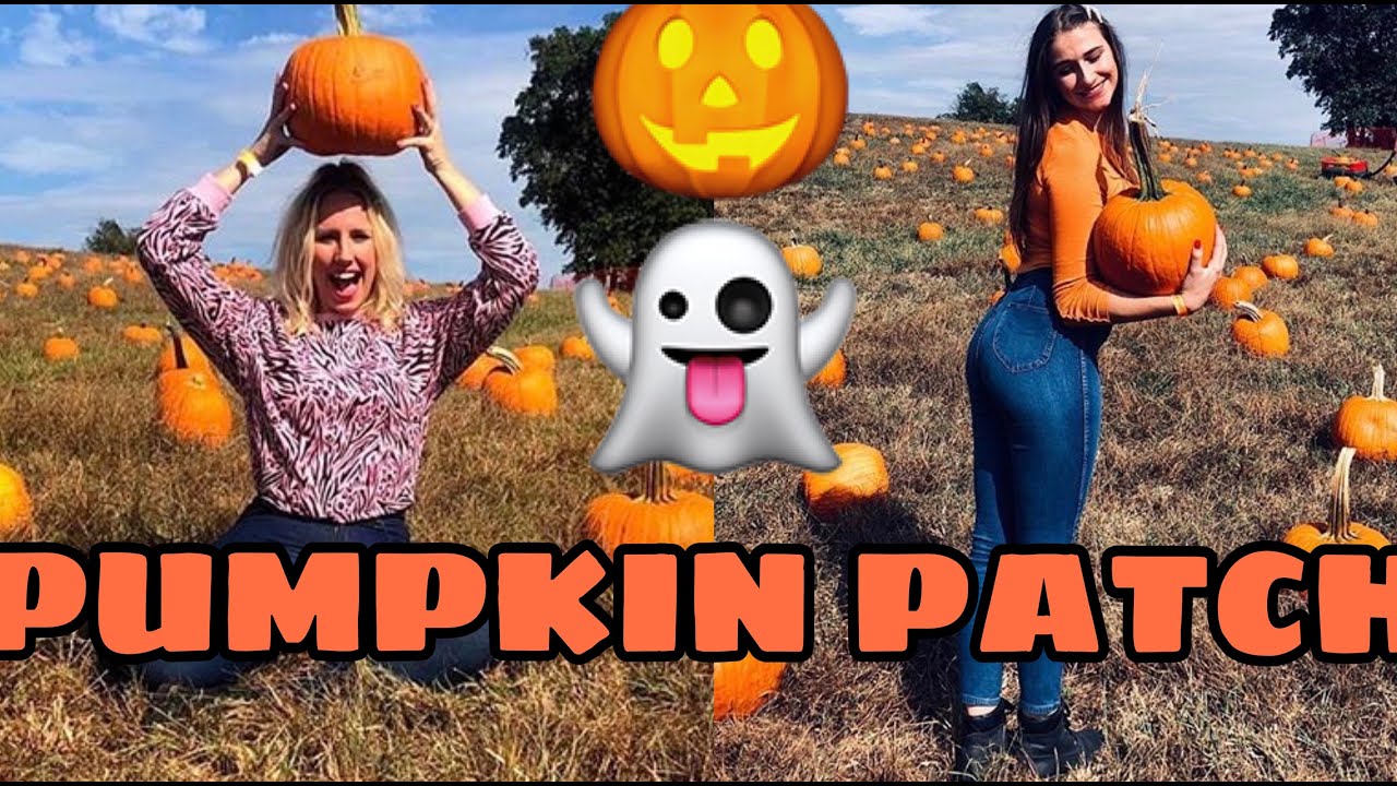 Pumpkin Patch Youtube