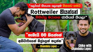 🌍ලෝකේ ලොකුම මිත්‍යාව,Rottweiler මිනිස්සු 😡මරාකන ජාතියක්|@ChandukaLopez|Leisure Time Pet Media