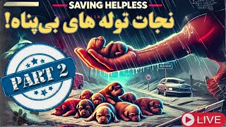 ‎دست یاری به حیوانات | کمک به سگ‌ها و گربه‌های بی‌پناه‏Lending a Helping | Stray Dogs and Cats