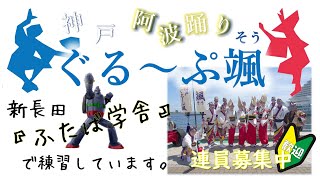 神戸阿波踊り　ぐるーぷ颯