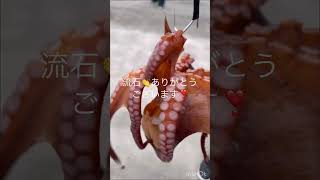 大きなタコ🐙をいただきました❣️流石👏師匠✨✨✨😆ありがとうございます（´ω`❤） #海釣り #アウトドア#タコ釣り