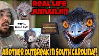 JUMANJI! Crazy UNTAMED Emus Escape ON THE RUN In South Carolina With Scientific EXPERIMENT Monkeys !