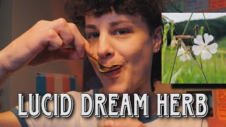 Experimenting With African Dream Root - How To Take African Dream Root For Dreams