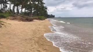 Kihei Beach Neighborhood Exploring