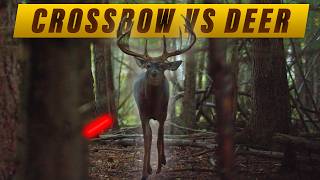 Crossbow KILL SHOT Deer Compilation