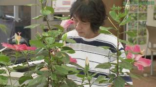 2011/09/03　滝沢卓　富山県中央植物園　みどりのコンサートVol.3 赤とんぼ・旅愁・ちいさい秋みつけた・里の秋・もみじ