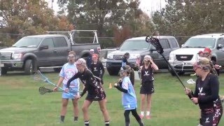 Emily Hollinger - 2015 Brandywine Lax Tournament Goals