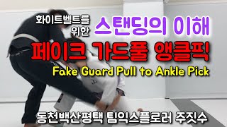 화이트벨트를 위한 스탠딩의 이해 - 페이크 가드풀 앵클픽 [동천백산평택 팀익스플로러 주짓수]