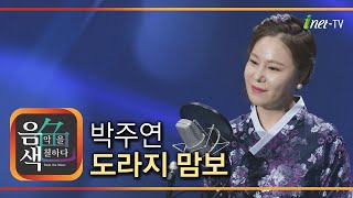 박주연 - 도라지 맘보 [아이넷TV 음색]