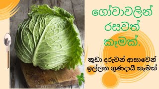 Cabbage (ගෝවාවලින් )රසවත් කෑමක්.🥬🥬🥬🤩ගෝවාකන්න අකමැති අයත් ආසවෙන් කන,මස් වගේ රස කෑමක්.😘😋😋