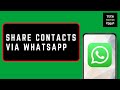How to Share Phone Contacts via WhatsApp