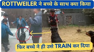 Are Rottweilers Good Family Dogs? How To Train a Rottweiler Dog | Should You Buy A Rottweiler?