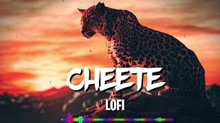 CHEETE - Hoka Jindabad Na Kare Smoke Darling || lofi #dg_edit