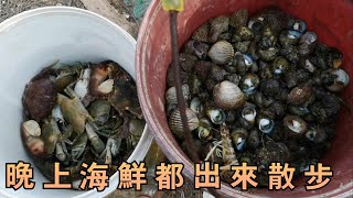 海南海口趕海，晚上趕海就是好，所有海鮮都出來散步了