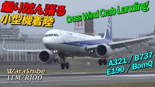 4K Crosswind Landing 14 Small Aircraft ITM/RJOO A321/B737/E190/BonQ/CRJ700