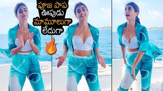 Pooja Hegde SUPER H0T Dance Moves | Pooja Hegde Latest Dance Video | News Buzz