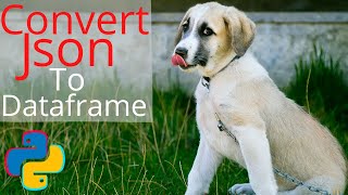 HOW TO PARSE NESTED JSON AND CONVERT TO DATAFRAME | STOCK EXAMPLE 3 DIFFERENT WAYS | PYTHON