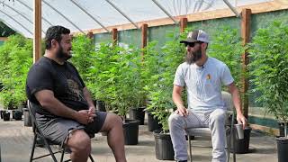 Hash 101 | The Hashish Inn - Eric of Humboldt Kine Farms