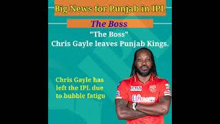Chris Gyle "The Boss" leaves Punjab Kings | #ipl #gayle #theBoss #punjab #pbks #westindies #cricket