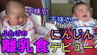 【離乳食】初めてのにんじん！男女双子食べれたかな？生後163日mix twins Baby food of the carrot