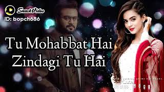Dil E Nadaan Ki Har Khushi Tu Hai || New Pakistani Sad Song || Lyrics || New OST || Sahir Ali Bagaa