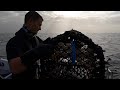 Hand hauling the Fish Locker Lobster pots  - Crabs and Lobsters | The Fish Locker