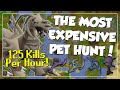 The Most EXPENSIVE Pet Hunting Method In OSRS - How People Boost In Oldschool Runescape